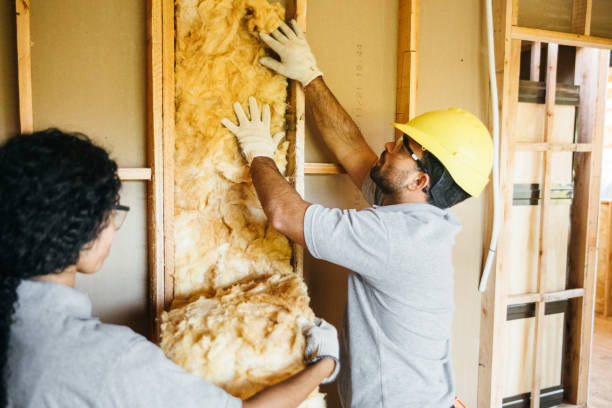 Best Attic Insulation Installation  in Gallatin, MO