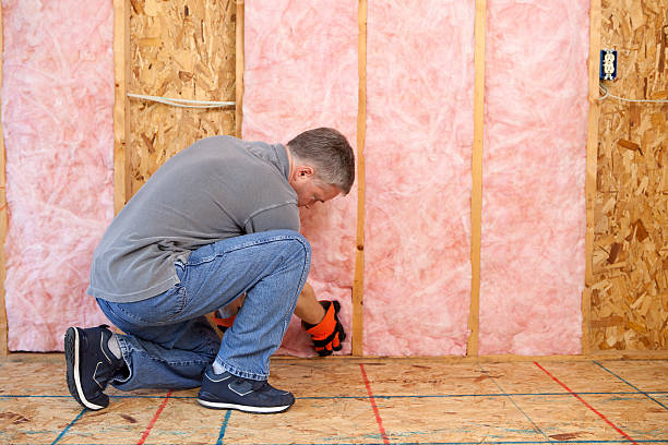 Insulation Replacement Services in Gallatin, MO